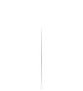 scroll-to-explore-more